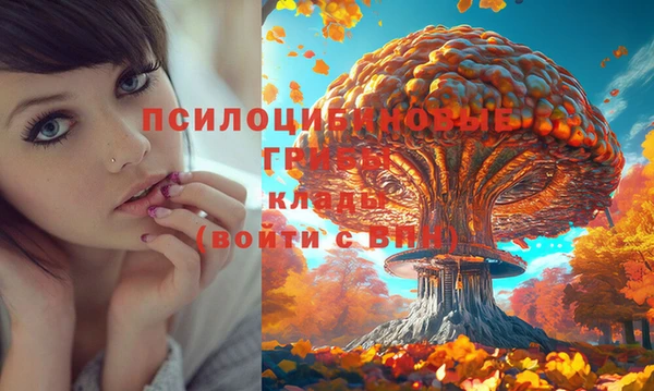 кокаин Богородицк